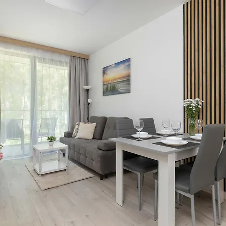 Lux Floor Art With Pool, Air Conditioning And Parking By Renters Apartament Mielno (Koszalin)