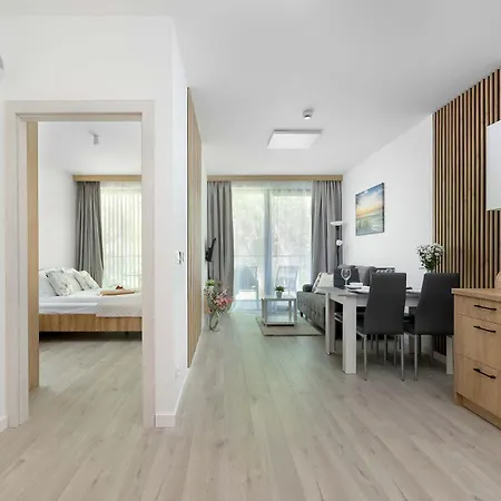 Lux Floor Art With Pool, Air Conditioning And Parking By Renters Apartament