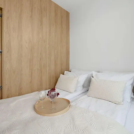 Lux Floor Art With Pool, Air Conditioning And Parking By Renters Apartament *